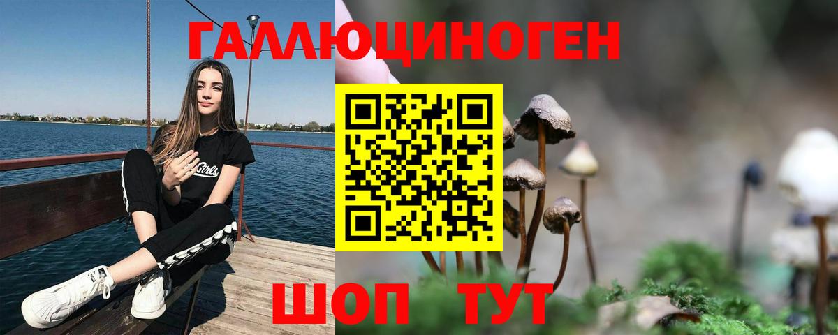 Галлюциногенные грибы MAGIC MUSHROOMS Искитим