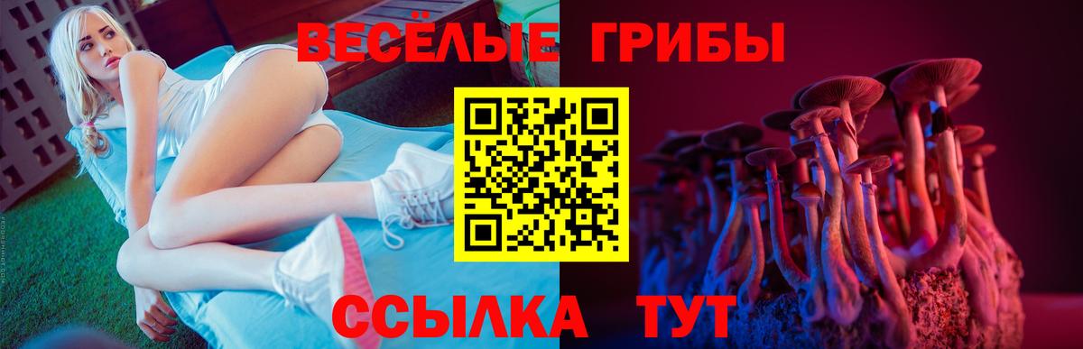 Псилоцибиновые грибы Cubensis  Вход с VPN  Искитим 